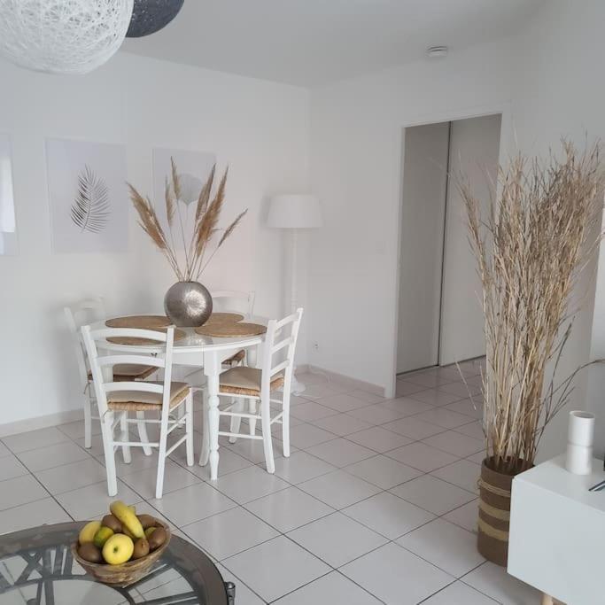 Appartement 63 m2, tout confort, climatisé. Saint-Cyprien  Esterno foto