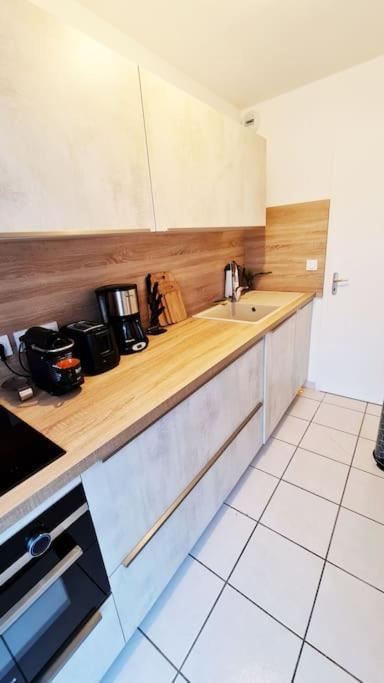 Appartement 63 m2, tout confort, climatisé. Saint-Cyprien  Esterno foto