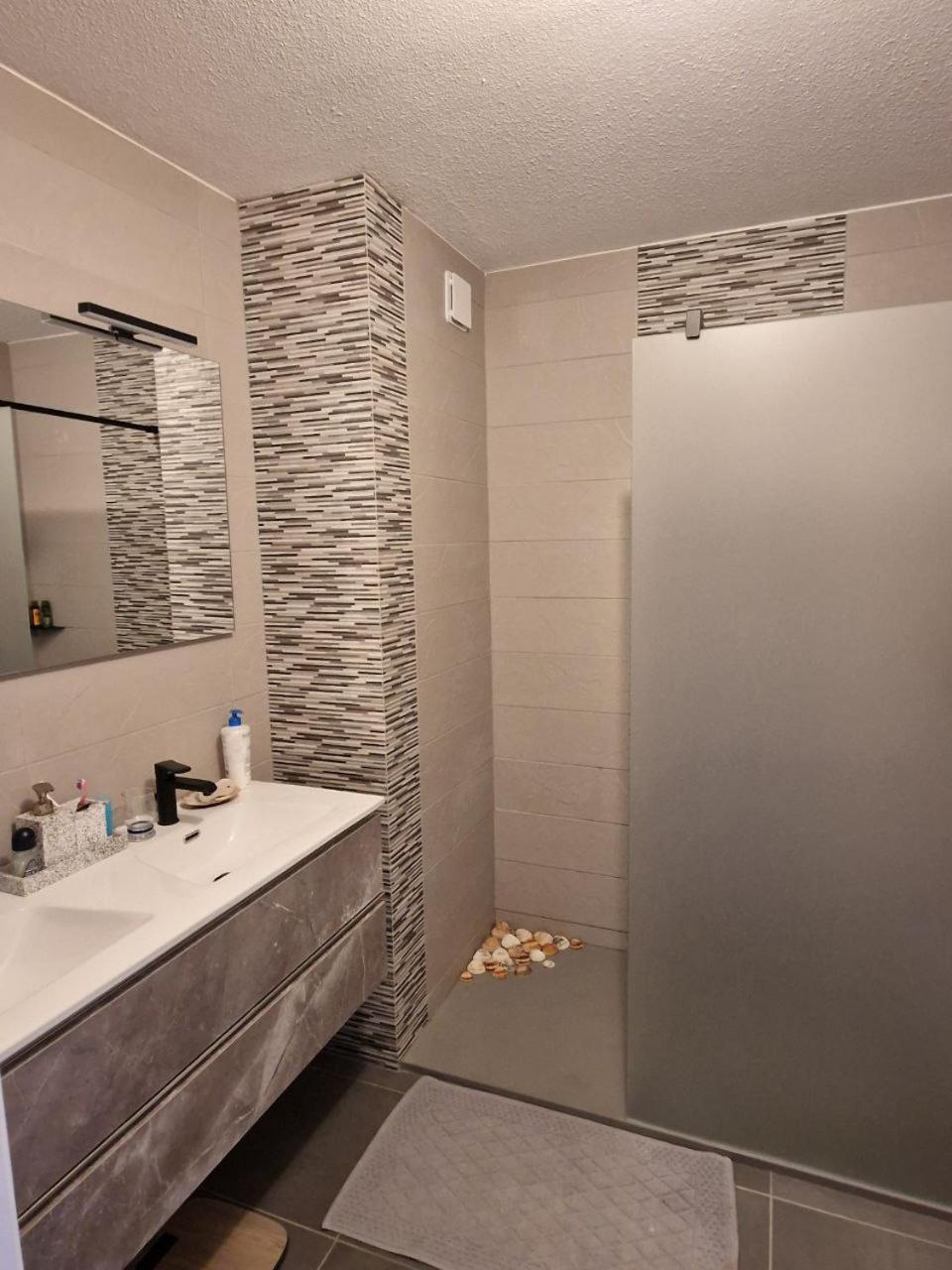 Appartement 63 m2, tout confort, climatisé. Saint-Cyprien  Esterno foto